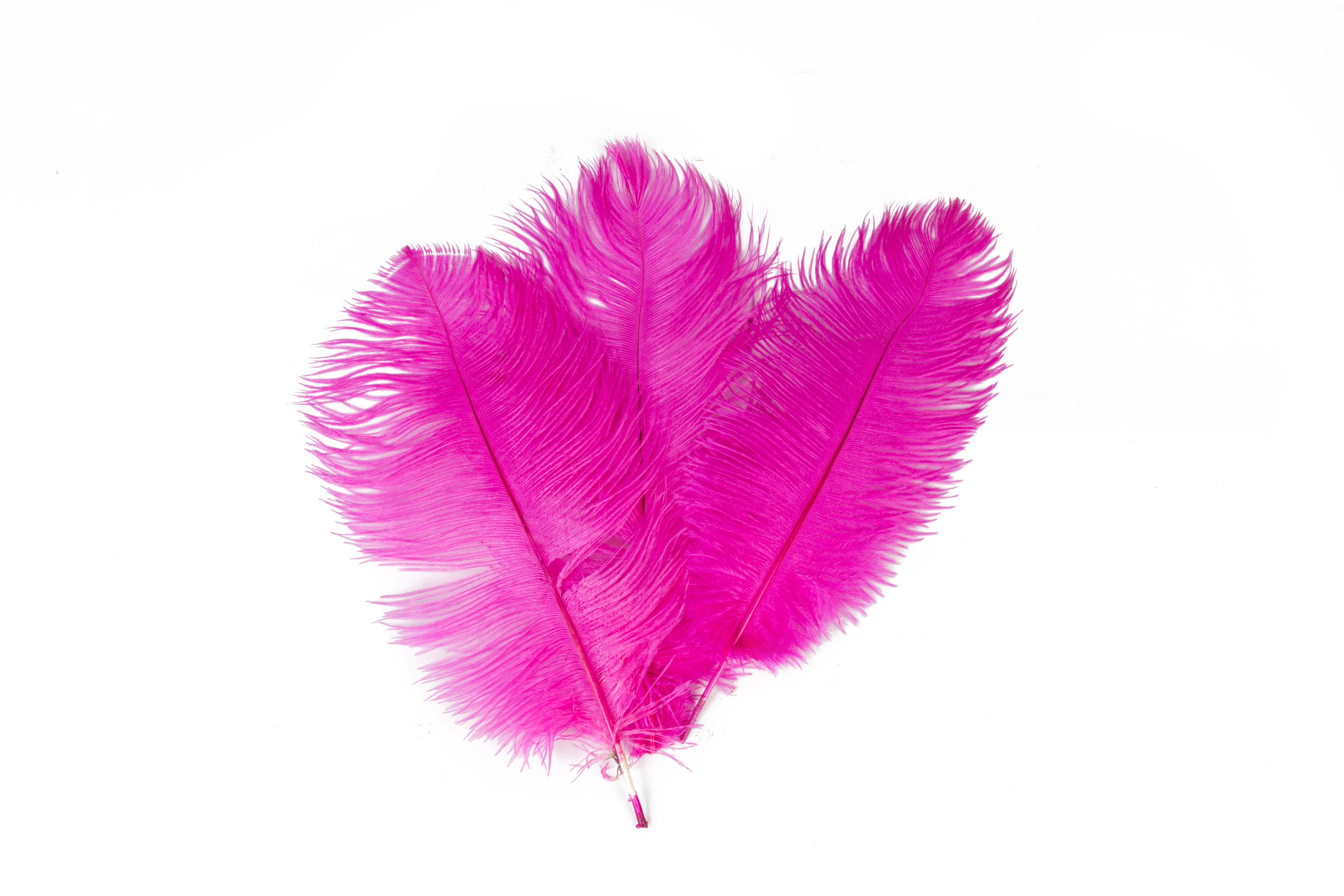 Hot Pink Ostrich feathers Large 