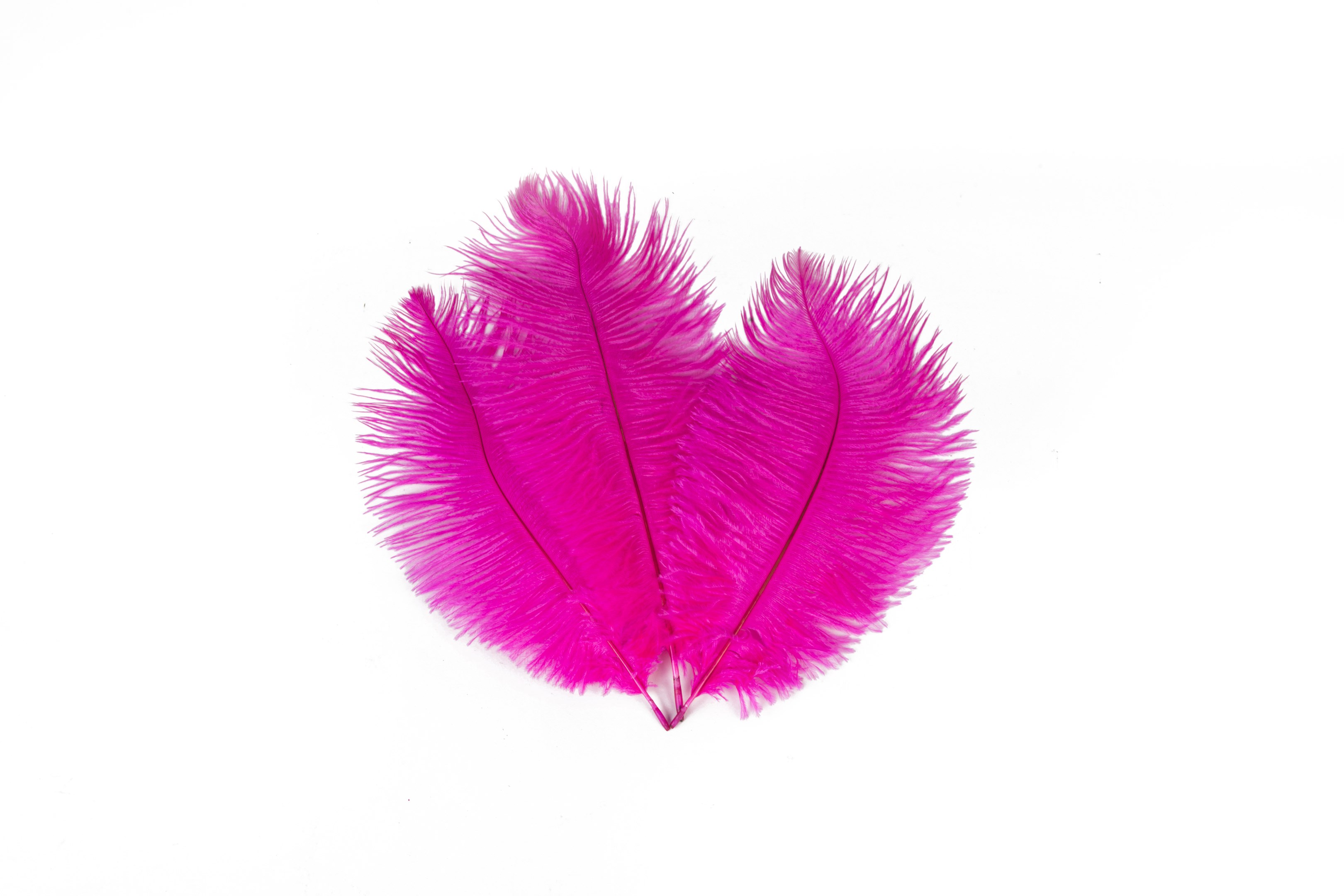 Hot Pink Ostrich feathers Small