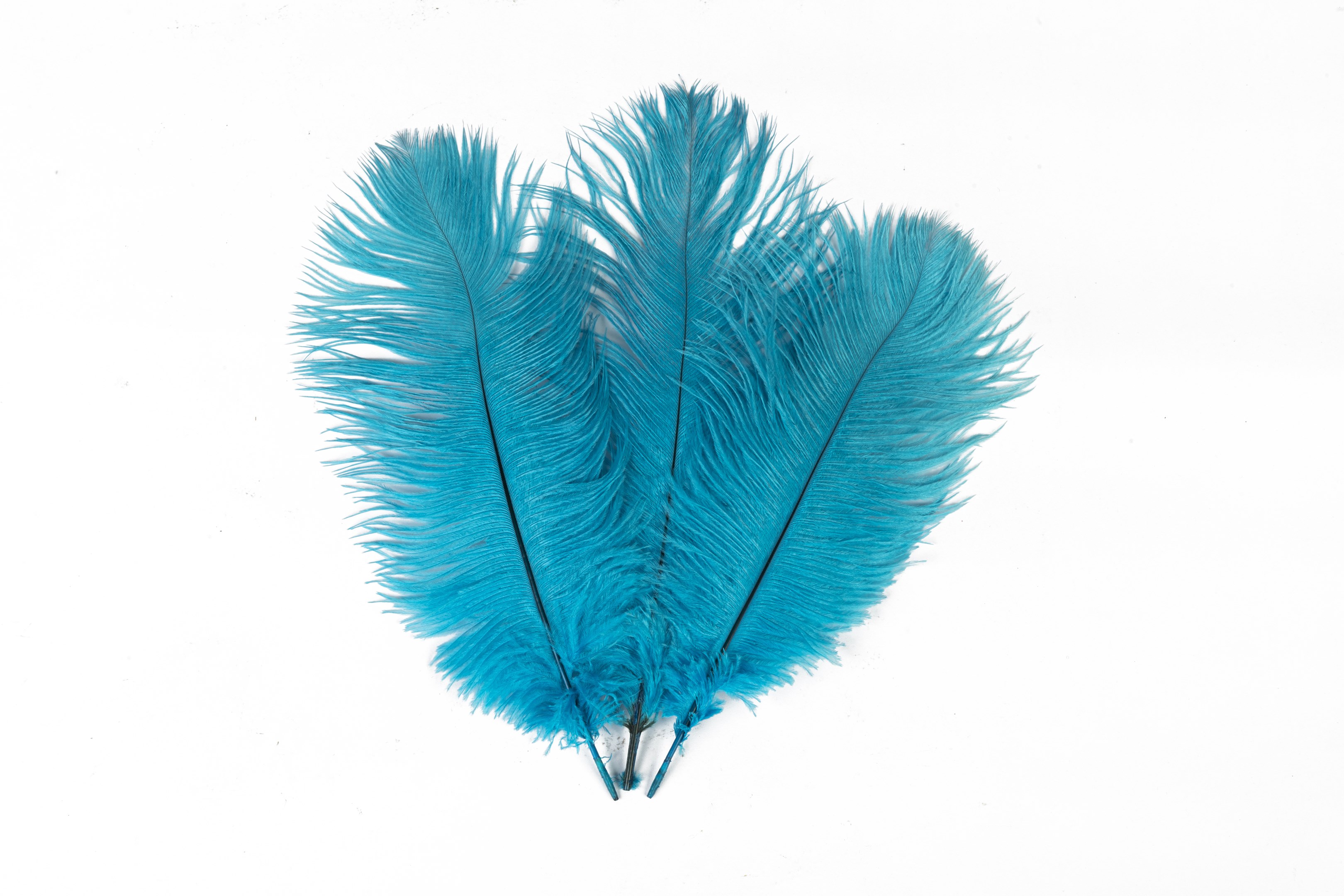 Blue Ostrich Feathers Large 