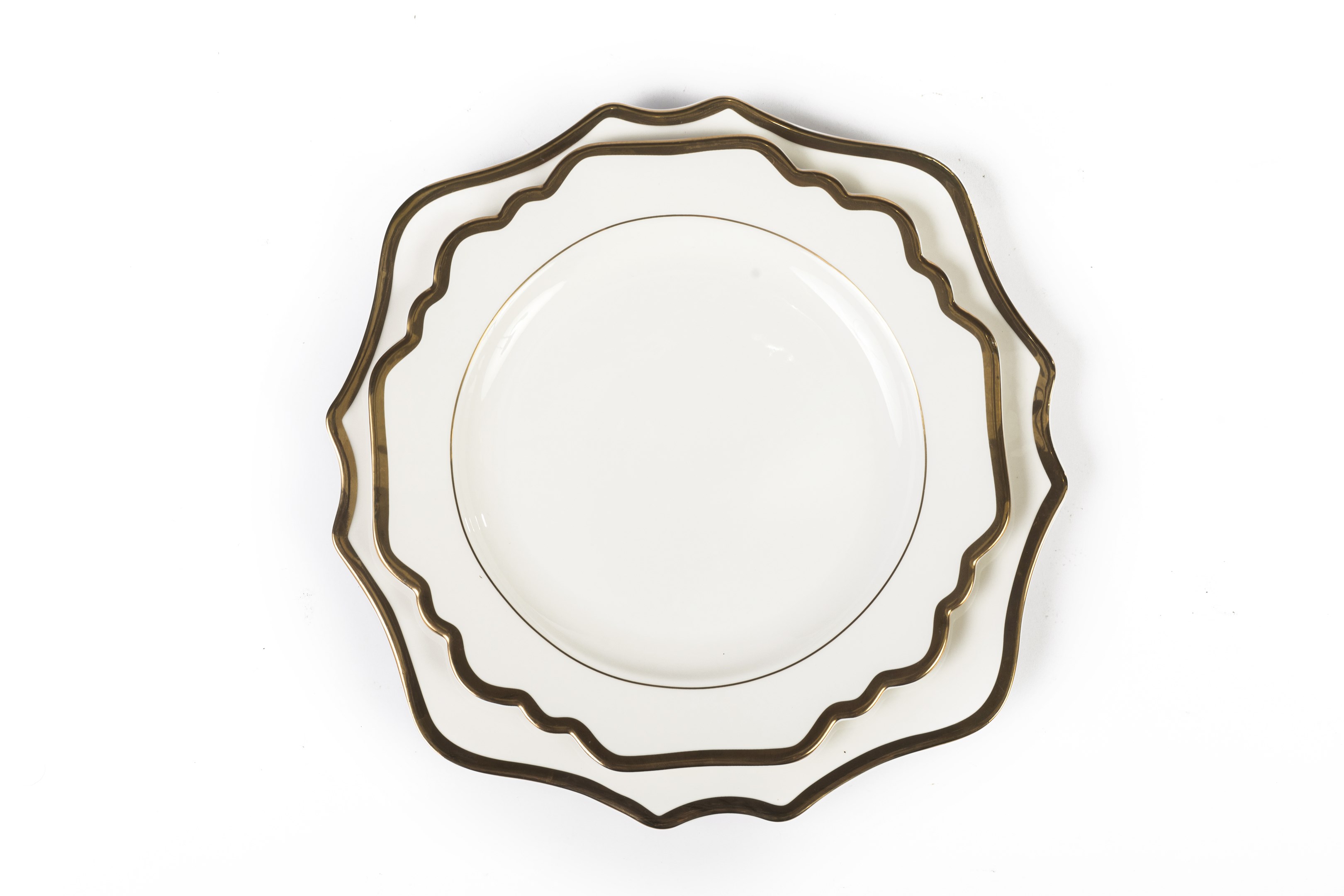 Queen Elizabeth white sunflower w/Gold rim Dinner Plate